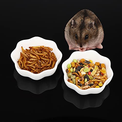 2 cuencos de hámster de cerámica, pequeños animales antirotación y alimentador de platos de agua para hámster enano, ratón, chinchilla, rata gerbil (blanco)