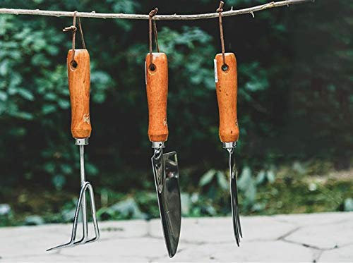 FGHSD Edelstahl-Handwerkzeug-Geschenkset, 3-teiliges Gartenwerkzeug-Set.