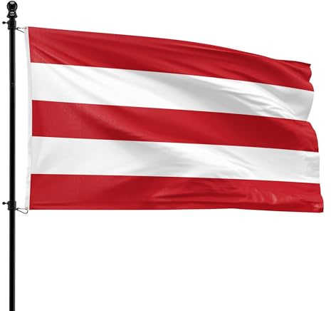 VlagDirect - Ostergose Flagge - Region Oostergo Flagge - 90 x 150 cm