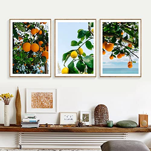 GVOZI Kunstdruck Skandinavischer Stil, Wanddekoration, Orangen, Zitrone, Poster, Leinwand, Malerei, Obst, Pflanze, Wandkunst, Bild Für Wohnzimmer, Nordische Dekoration 40x50cm