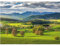 Dino Puzzle 3000 Teile: Frühling in Poraznik