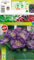 AGRONOM | Gloxinien - TIGRINA BLUE | Mehrjährige Blumenzwiebeln | Bläulich Blumen | Mehrjährige Blumen in Töpfen gepflanzt | 1 Blumenzwiebeln