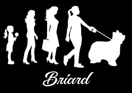 Autoaufkleber/Sticker Innen + Außen/Evolution Frau - 30 cm weiß Hund Briard 01