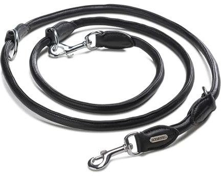 Jack & Russell Premium Leder Hundeleine 2,0m mit Edelstahl Karabiner - Hunde Lederleine mehrfach verstellbar – Rund-Leine, Führleine Davy (Schwarz)