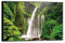 MUHJDYC Natur Bild auf Leinwand-Grüne Bäume Wasserfall-Landschaftsbilder auf Leinwand-Kunstdruck Wandbilder Wohnzimmer Schlafzimmer Modern 50x75cm Schwarzer Rahmen
