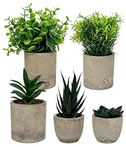 HuaCommerce 5 plantas artificiales para decoración de salón, mini plantas artificiales (agave, aloe, lengua de serpiente), ideal para dormitorio, baño, cocina, oficina, alféizar de ventana y hogar