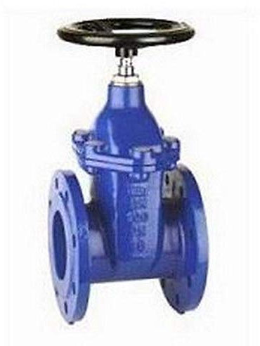 265CG Robinets-vannes en fonte ductile PN 16 DN 80 RASTELLI