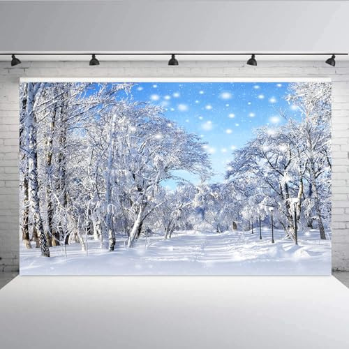 Aisnyho 7x5FT Winter-Schneeszenen-Hintergrund, Wald, Schneeflocke, Wunderland, natürliche Landschaft, Hintergrund für Fotografie, Portrait, Dekorationen, Neujahr, Weihnachten, Bildbanner