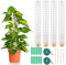 Herbst 4pcs Tutor Plantas, 24 cm Tutor Monstera Plástico, Tutor Musgo, Soporte Plantas Trepadoras Interior (Blanco)