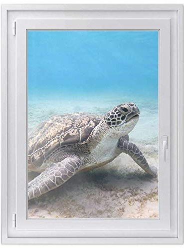 Fenster-Folie Sichtschutz I Folie für Fenster Deko - Fensterbild selbstklebend I Deko für Bad, Küche, Kinderzimmer - Farbecht, Robust - Made in Germany