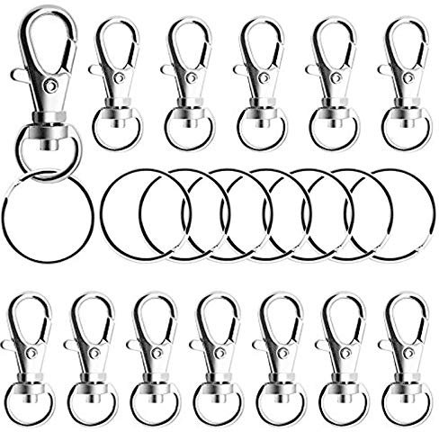 KINDPMA 100PCS Karabiner Schlüsselanhänger Karabinerhaken Schlüsselanhänger mit Schlüsselringe 21mm Schlüsselband Kleine Abnehmbare Drehverschlüsse für Schlüssel Schmuck Basteln