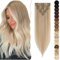 SEGO Clip in Extensions Haarverlängerung Echthaar Haarteile 8 Teiliges SET Haarteil 100% Menschliches Remy Human Haar Weiche Seidige dünn glatt 16(40cm)-65g Hellblond Highlights Ashblond #16/22