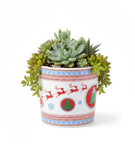 SUPVOX Ceramic Planter Pot Christmas Flower Pattern Small Indoor Plant Pot Decorative Succulent Container 2.9 Inch