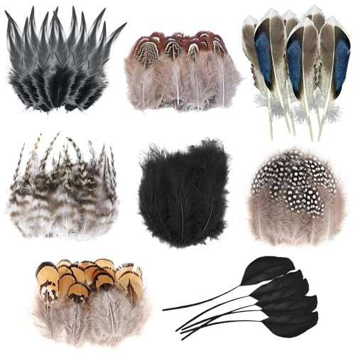 Molirex Federn Zum Basteln, 160 StüCk Fasanenfedern, Acht Stil Naturfedern FüR Bastelarbeiten FüR TraumfäNger DIY Ohrringe Party Masken Schmuck Ostereier Perlhuhn Federn(Schwarze/Braun)