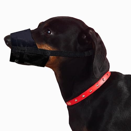 Dingo Weiches Nylon Maulkorb mit atmungsaktivem Netz für kleine Rassen, Welpen, Jack Russel Terier Dackel Verstellbarer Halsgurt, Schwarz 16773-2