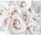 decomonkey - Papier Peint Panoramique Rose 200x140 cm - Décoration murale moderne – Tapisserie décorative pour chambre salon - Fleurs nature plantes roses