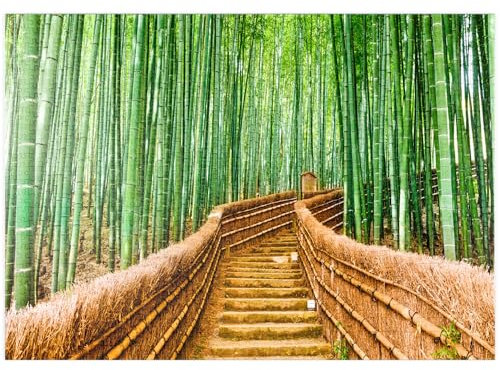 MyPuzzle Kyoto, Japan im Bambuswald - Premium 1000 Teile Puzzle - MyPuzzle Sonderkollektion von Puzzle Galaxy