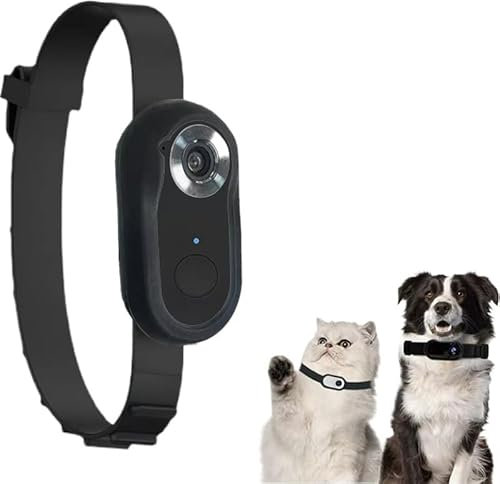 Almpuxee Collar de gato con gran angular de 170°, mini cámara impermeable para gatos (negro)