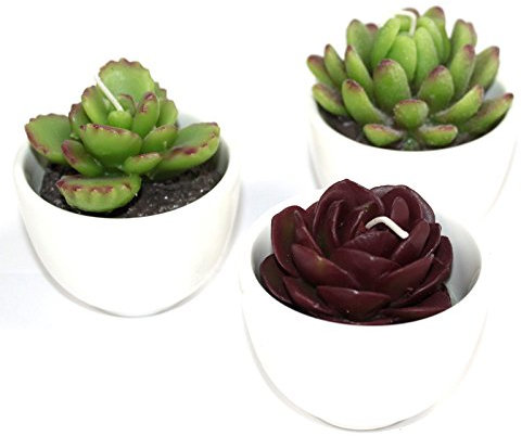 3pcs gran maceta Cactus velas