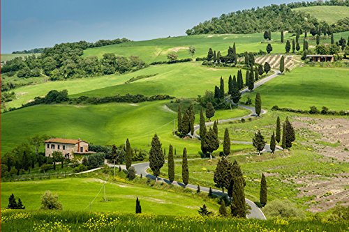 ECOLOGICAL SEEDS OF CYPRES (CUPRESSUS) FROM MILLENNIAL AND CENTENNIAL TREES. GRAINES