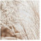 Bilderwelten Fototapete Pampasgras 192cm x 192cm Blumen Modern Natur Blumentapete Vliestapete Tapete Wanddeko Ideen Wohnzimmer Schlafzimmer Küche