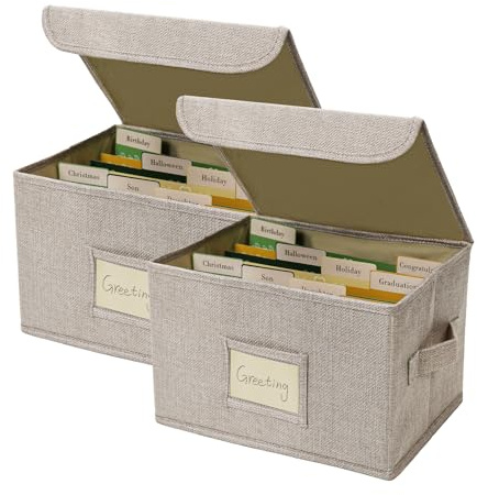 Vienrose Grußkarten-Organizer, Fotoaufbewahrungsbox, 2 Packung, Beige | 20 Herausnehmbaren Trennwänden, 84 Selbstklebenden Etiketten, für Fotos, Umschläge, Scrapbooking, Papier, Aufkleberhalter