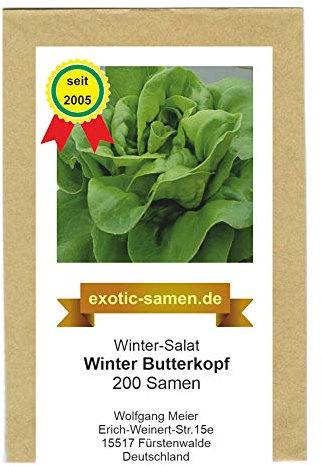 Winter-Kopfsalat - Winterbutterkopf - samenfeste Sorte - 500 Samen Grün