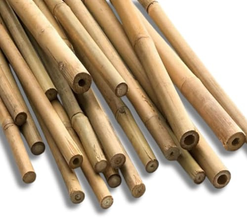 Gardens Strong Heavy Duty Professional Bamboo Plant Support Garden Canes | All lengths in stock 2, 3, 4, 5 & 6ft | Choose from a range of pack sizes from 10 to 250 | 2ft x 10 (10, 4ft, 12 - 14mm)