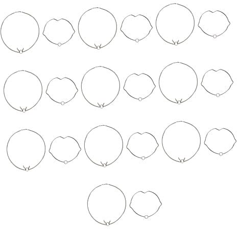 Hemobllo Lampenfederclip Halogenlampenfassungen LED-Lampenfassungen Lampenfassungsclips Birnenhalter Ring Klammern Herr16