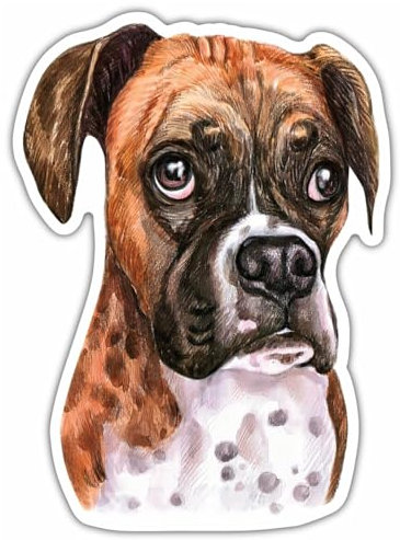 Samunshi® Boxer Hund Aufkleber Autoaufkleber für Motorrad Fahrrad Roller oder Auto Sticker Fahrrad Mtb Mountainbike Rennrad Hund Dog Dogo 25cm Boxer Hund