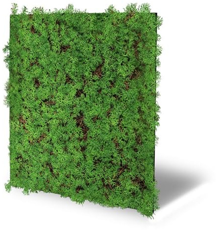 JANGAL Modular Wall Nature Design Flora Paneel (52 x 52 cm), Modulares Wandpaneel, mit recyceltem PET-Filz, zum Kleben oder Schrauben, Wandverkleidung, Wand Deko, Florawand (Thuja Tea Tree)