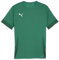 PUMA Unisex Teamgoal Matchday Jr Fußballtrikot, Sport Green-puma White-Power Green, 152 EU
