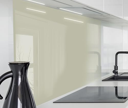 timalo Herd Spritzschutz Wand Platte Spüle, Küche Küchenrückwand Glasoptik | Acryl Glas 2mm | Glasrückwand Acrylglas Rückwandschutz Uni unifarben einfarbig | 60x60cm Warmgrau, grau