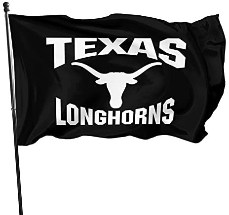 Texas Longhorn Und Staatsflagge Flagge Lustige Gartenfahne Perfekte Außenbanner Für Lawn Home Bauernhof 90X150Cm