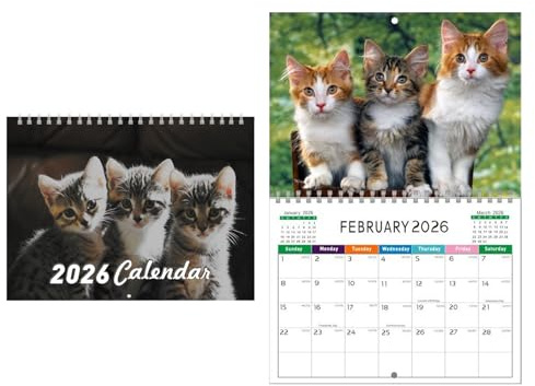 2026 Kalender Wandplaner Mit Katzenmotiven 2026