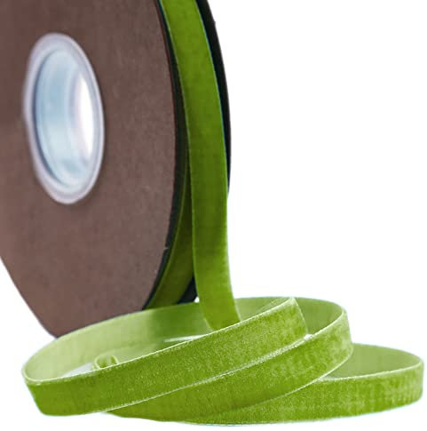 20 Yard Samtband Schleifenband,10mm Samtbänder Samtborte Samt Dekoband Geschenkband Schmuckband Stoffband Festival Bänder für DIY Basteln Blumenstrauß Hochzeit Geburtstag Geschenke Verpackung,Hellgrün