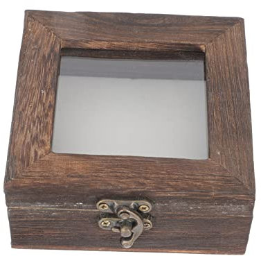 Cabilock Boîte Boîte à Spécimens D'insectes Téléspectateur Mallette D'échantillons à Couvercle Kit Dépinglage en Bois Étui d Affichage De Bugs Vitrine Provisions Acrylique À Clapet Carte