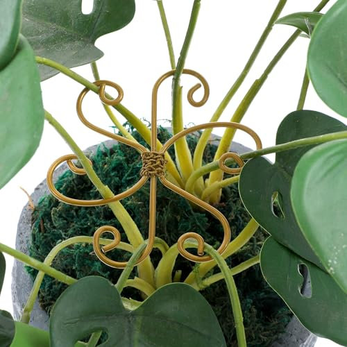 HJZHII 3PCS Plant Stem Support, Monstera Plant Support System Bamboo Clamp Set Durable Grapple Holder Supports for Outdoor & Indoor Growing Climbing Plants Leaf Stabilization Support