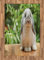 ABAKUHAUS Hase Teppich, Foto von Holland Lop Rabbit, Flachgewebe Deko-Teppiche für das Wohn-,Schlaf-, und Essenszimmer, 120 x 180 cm, Weiß Grün