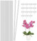 Acryl-Pflanzstäbe, klare Orchideenpfähle, transparent, mit 15 transparenten Libellen-Orchideen-Clips zur Unterstützung einzelner Stiele, Reben, Stiele, aufrecht, 15 Stück