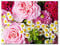 Glücksvilla - Rosen mit Margeriten - div. Maße (Leinwand-Bild 2 cm, 60 x 40 cm) aus DE - Kunstdruck XXL Deko-Wandbild quer - Blumen-Strauß Blüte Garten Natur