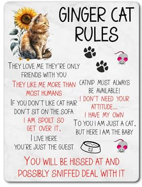 Ginger Cat Metal Sign Gift – Ginger Cat Rules – I Am Spoilt So Get Over It – Family Fun Pet Animal Novelty Aluminium Present