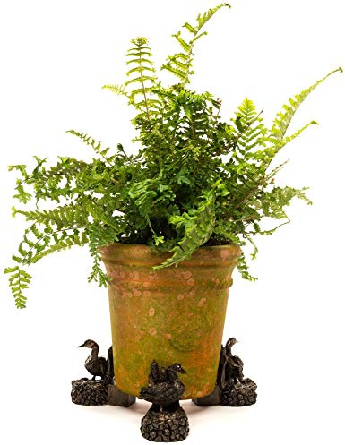 Potty Feet Mallard Duck Figures Plant Pot Feet - Planter Support - Handmade Decorative Ornaments - 3pcs