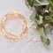 Ginger Ray Rose Gold LED String Lights for Wedding & Parties Beautiful Botanics Rose Gold
