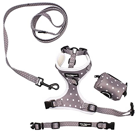 Paw Highness Dog Walking Harness, Collar, Leash & Poo Bag Holder Set in Grey Polka Dot Medium