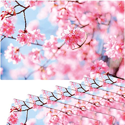matches21 HOME & HOBBY Tischsets 8er als abwaschbare Frühling und Sommer Tischdeko - Platzsets Kirsche Blüten als Tischuntersetzer - Platzdeckchen als Tischunterlage für Esstisch Wohnzimmer Tisch