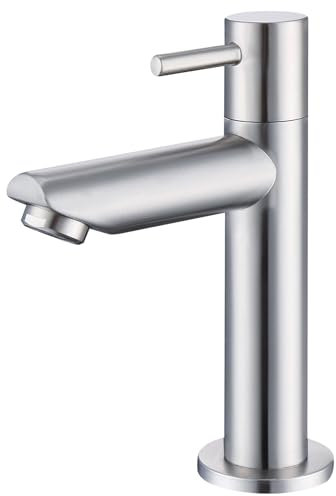 Homelody koudwaterkraan koudwaterkraan kleine kraan koud Kaltwasserarmatur Kaltwasserhahn Klein Wasserhahn Kaltwasser Gäste WC Einhebelarmatur Badarmaturen Standventil Standhahn für Bad Gebürstet