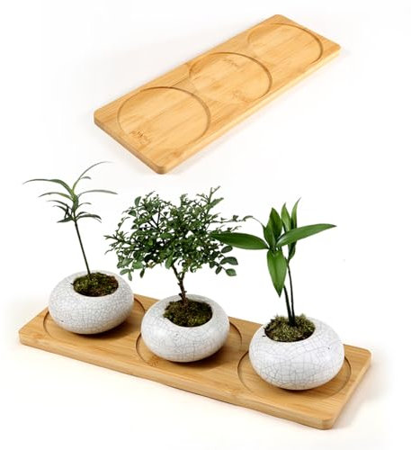 QruiLanTu Soucoupes en bambou, plateau de rebord de fenêtre, support de plantes grasses, sous-verres multi-usages, convient pour ranger de petits pots de fleurs, tasses, boîtes d'assaisonnement, etc