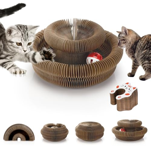 Exsink Katzen Kratzbrett, 2-in-1 Cat Kratzbrett mit Glöckchen | Magic Organ Cat Scratching Board, Katzen Wirbel Spielzeug, Zusammenklappbares Interaktive Katzenspielzeug für den Drinnen