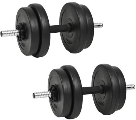 GeenYuu Hantelset 14-tlg 20 kg Kurzhantel Set mit rutschfesten Griffen, Zement Kunststoff Ummantelung, 2 x Hantelstange 45,5 cm, 4 x 2,5 kg Scheiben